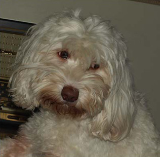 Angie
