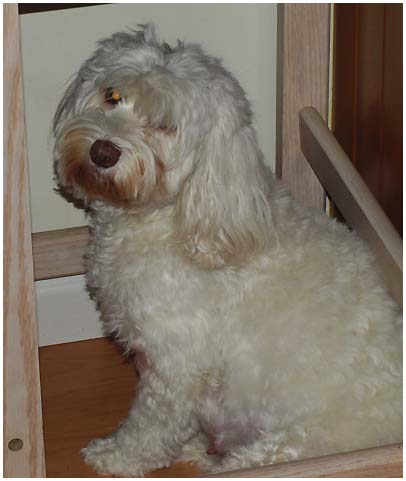 Angie
